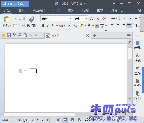 WPS Office Word